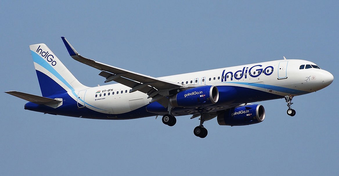 Indigo Airline