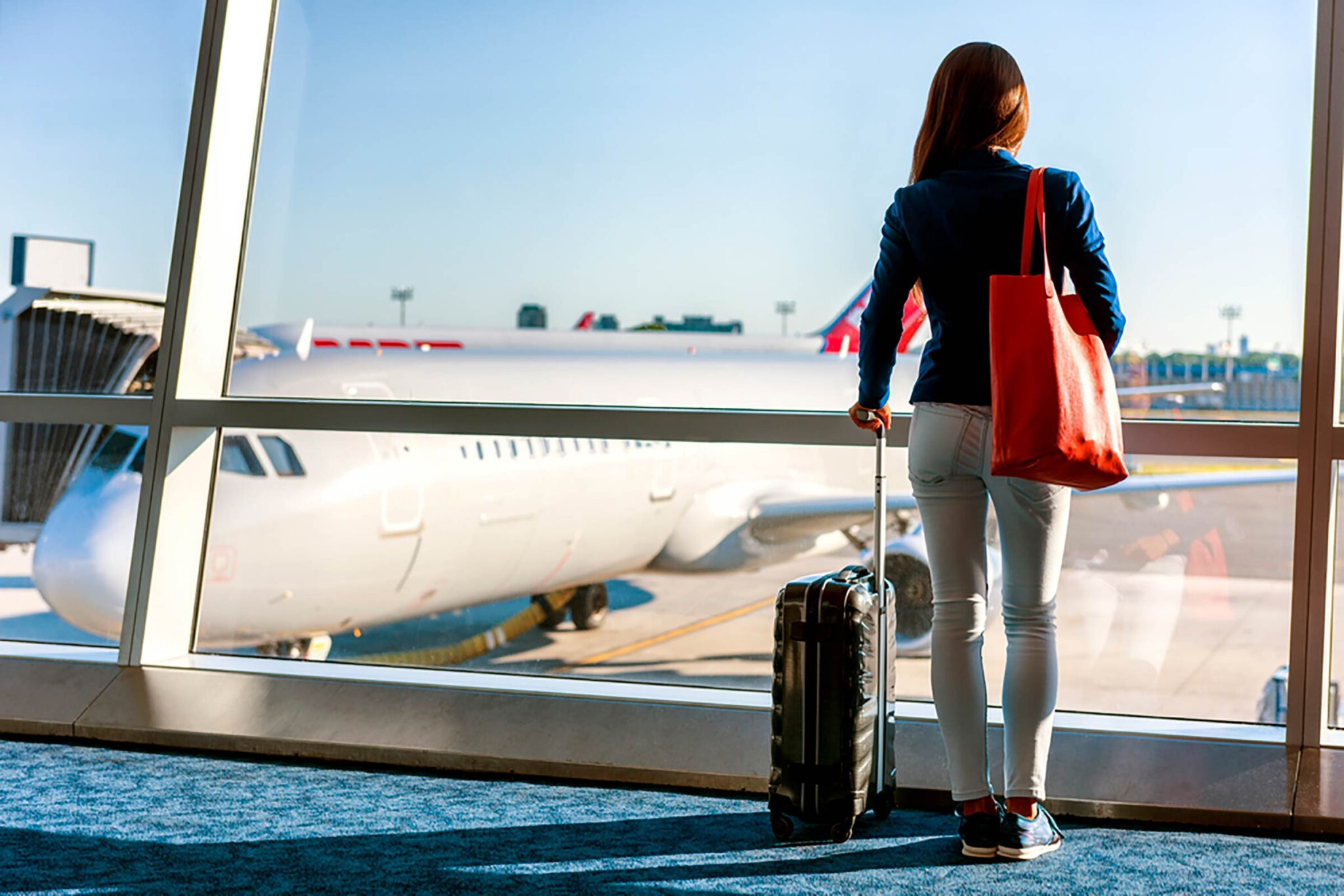 Domestic Flight