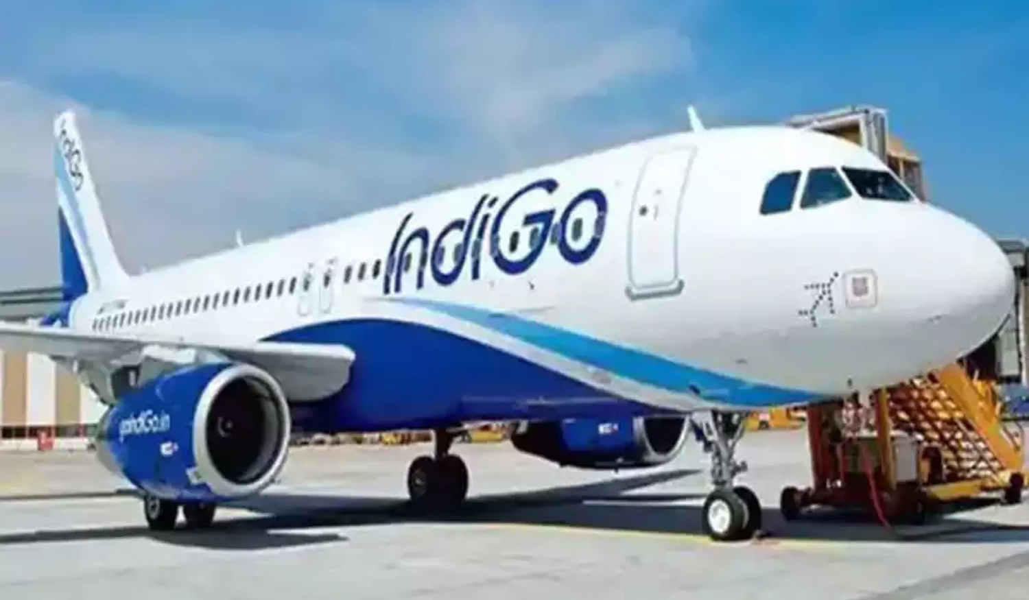 Indigo's big Plan