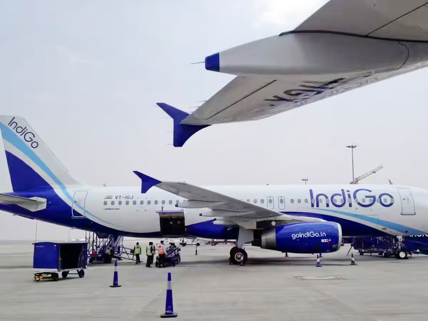 Magic of Indigo