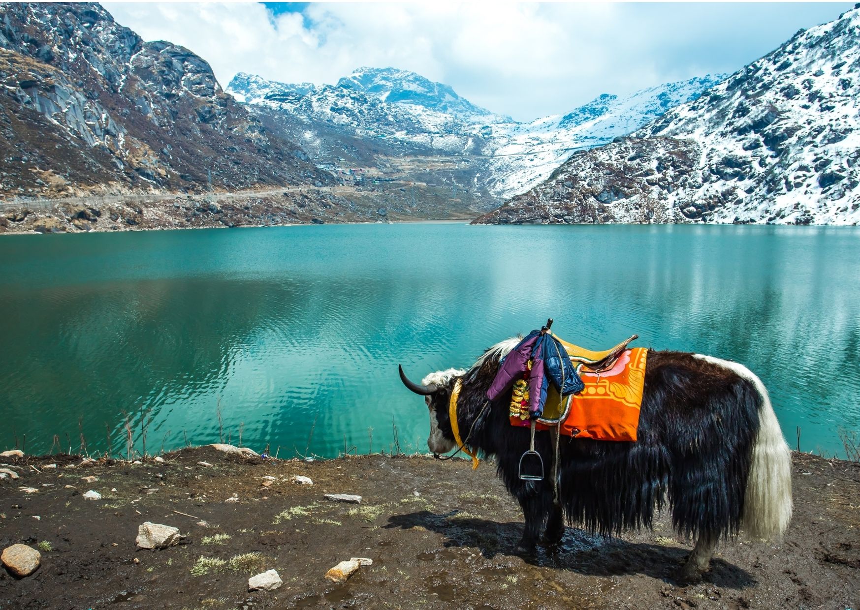 sikkim-online-clearance-for-foreign-tourists