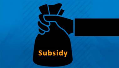 government-subsidy-overhaul