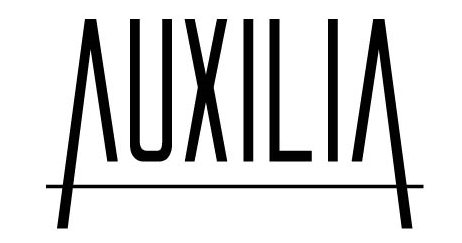 auxilia-networks-represents-your-friend-in-reykjavik