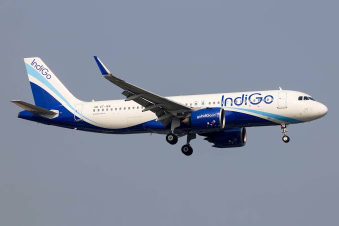 indigo-blu-chip-rewards-single-id-partnership