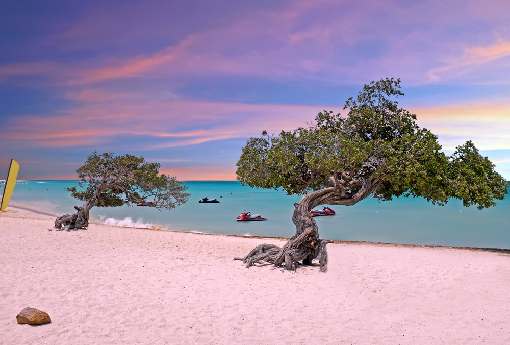 why-unesco-declared-aruba-biosphere-reserve