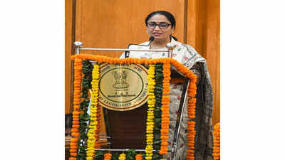 delhi-private-groups-adopt-heritage-monuments