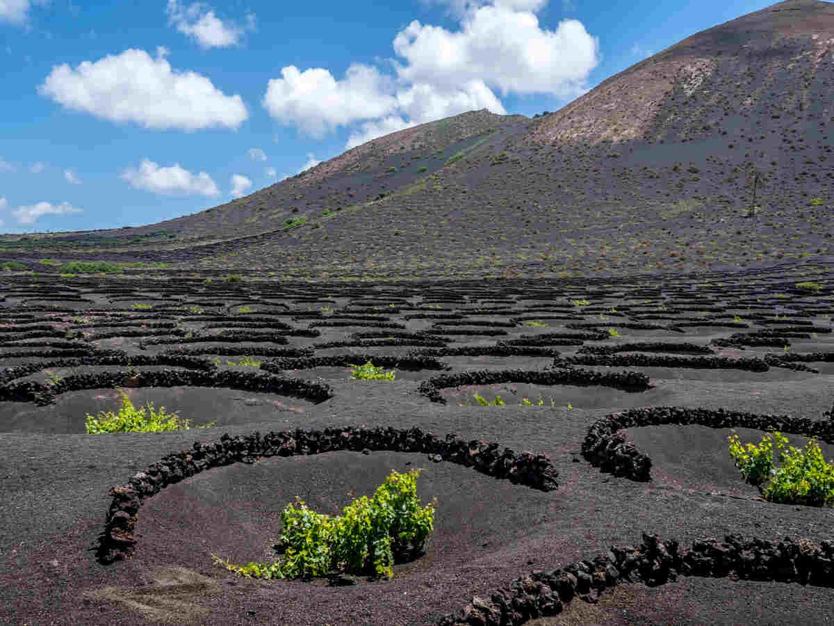 canary-islands-galicia-spain-sustainable-tourism-coastal-care-visitor-control
