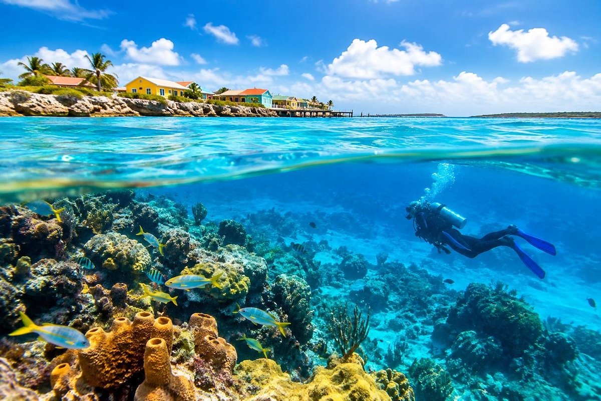caribbean-diving-bonaire-belize-underwater-adventures